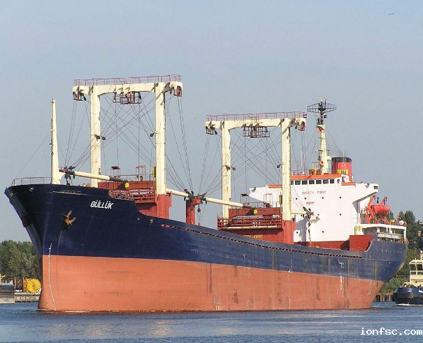 广州到新西兰—原木散货船海运