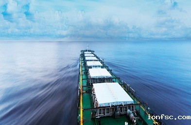 上海散货船公司：高效安全的散货运输专家