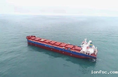 上海散货船公司对经济增长的贡献，并展示它们在国际贸易中的重要性