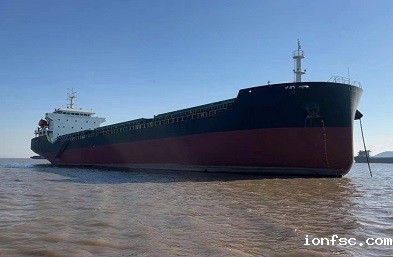 上海散货船公司高效灵活的物流解决方案助力经济发展