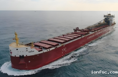 散货船在现代物流体系中的重要性