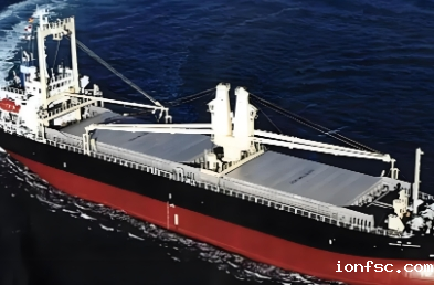 干货船支持了全球供应链的稳定运行,促进了世界经济的增长和发展