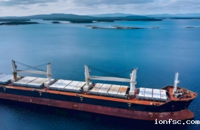 散杂船海运无需包装，直接装入船舱，从而大大提高了运输效率和成本效益