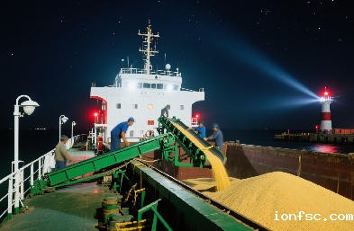 散货船运输：直达全球港口，运价透明，降本更高效